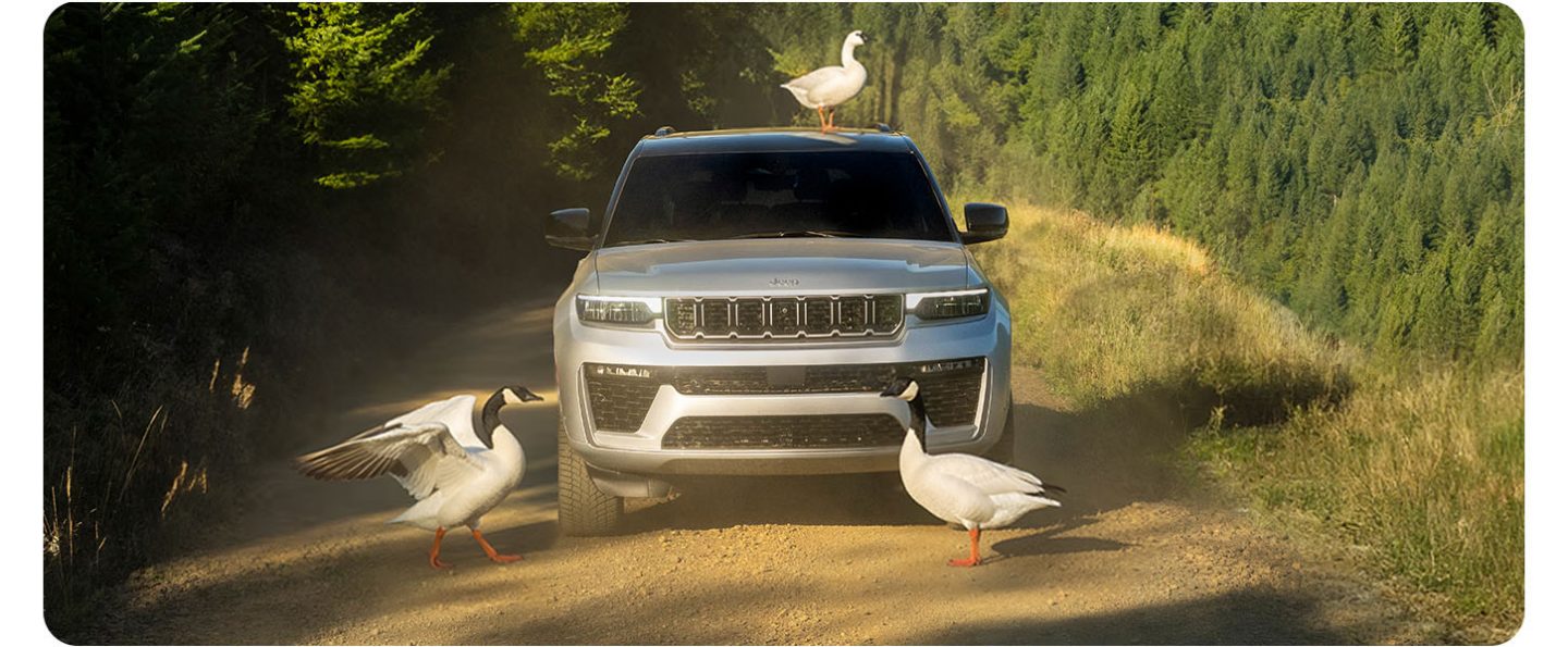 A head-on angle of a silver 2026 Jeep Grand Cherokee Summit on a trail off-road, with two geese blocking its path and a duck on its roof.